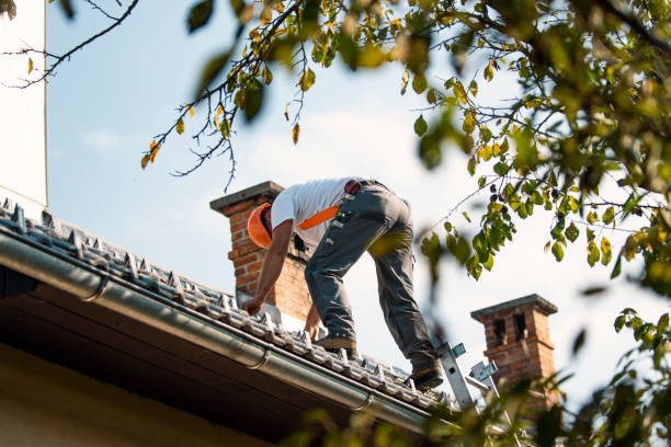 Best Metal Roofing Contractor  in Forestville, MD