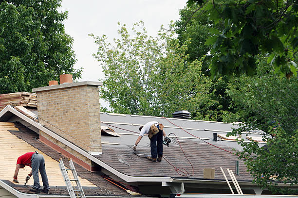 Best Shingle Roofing Installation  in Forestville, MD
