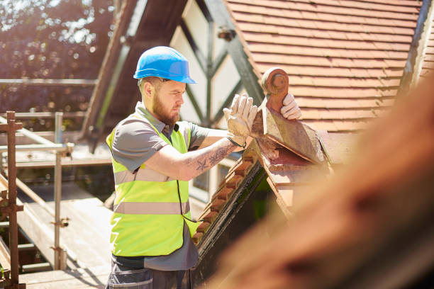 Best Roof Repair Specialists  in Forestville, MD