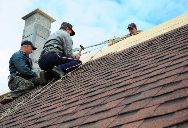Best Roof Gutter Cleaning  in Forestville, MD