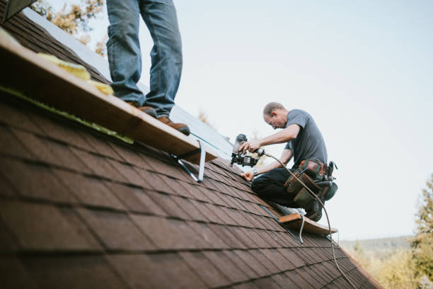Roof Gutter Cleaning in Forestville, MD